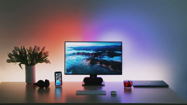 Monitor